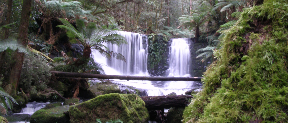 Hosreshoe Falls - Waterfalls in Tasmania