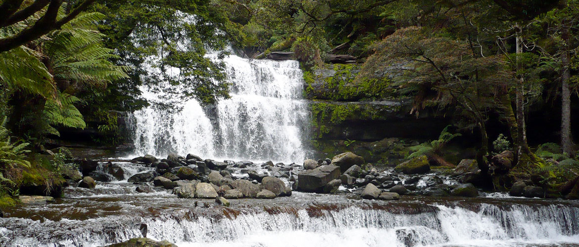 Liffey Falls - Waterfalls in Tasmania