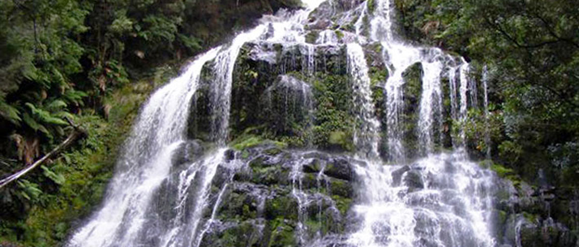 Nelson Falls - Waterfalls in Tasmania